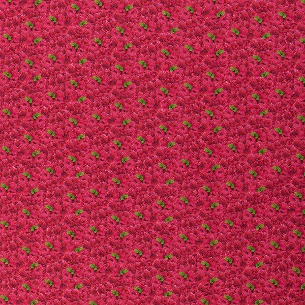 Baumwolle Druck Swafing Yummy Food Himbeeren